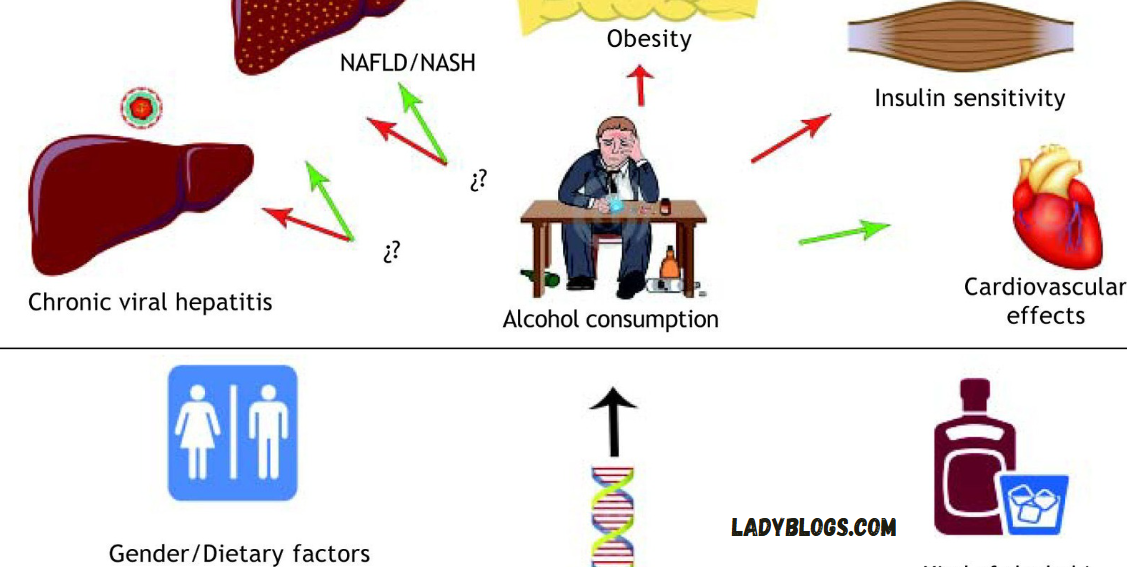 Moderate Alcohol Consumption Health Risks